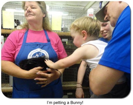 Im petting a Bunny!