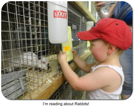 Im reading about Rabbits!